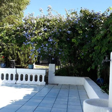 La Marina Gardens Beach Scauri  Exterior foto
